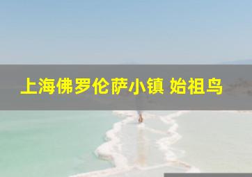 上海佛罗伦萨小镇 始祖鸟